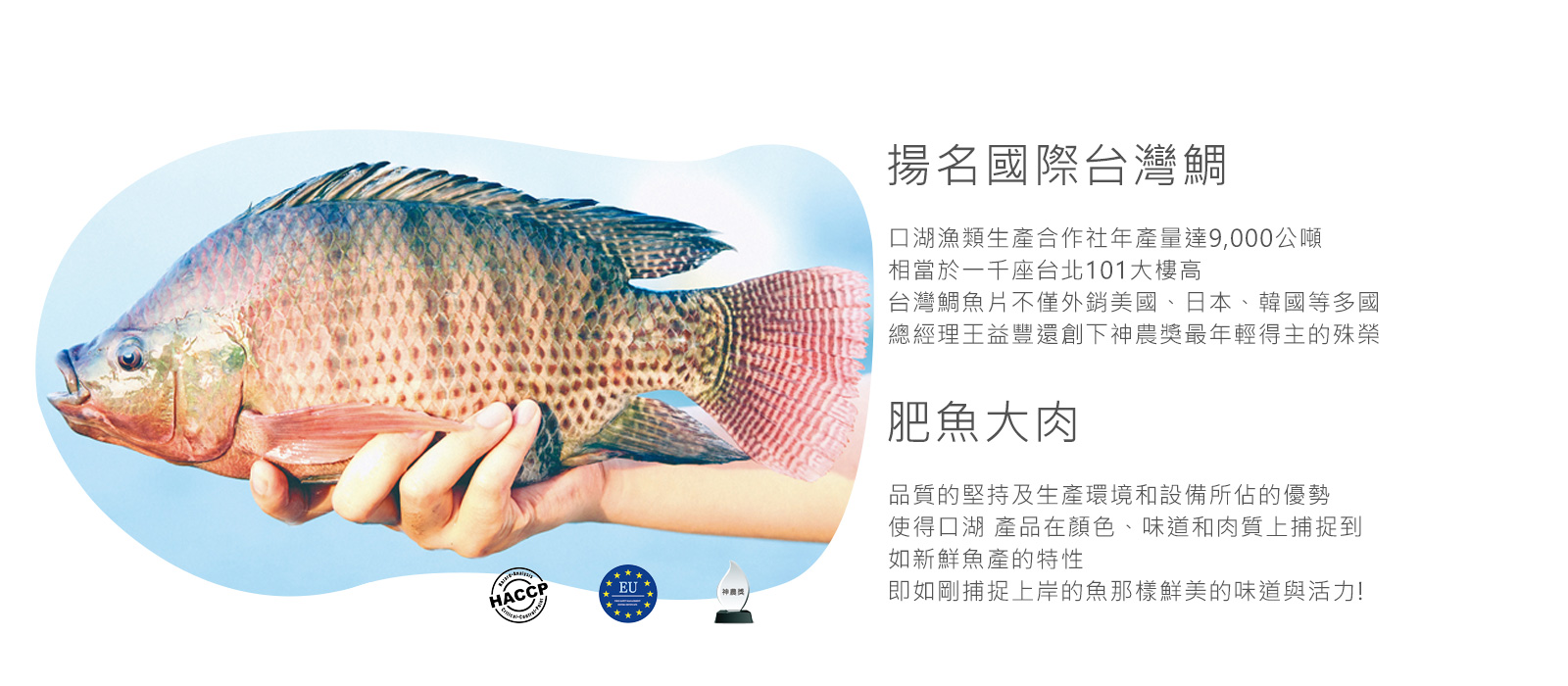 真空貼體】鯛魚火鍋片 口湖漁類生產合作社